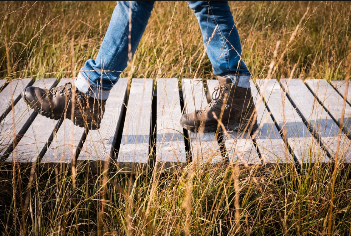 Teambuilding - Ardenne Activity - photo 12